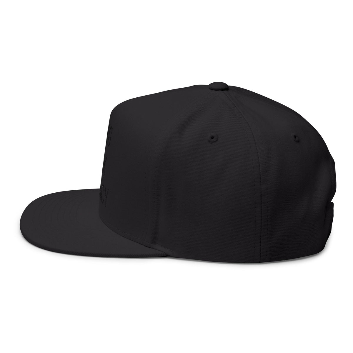 Bring Back Privacy | Flat Bill Cap