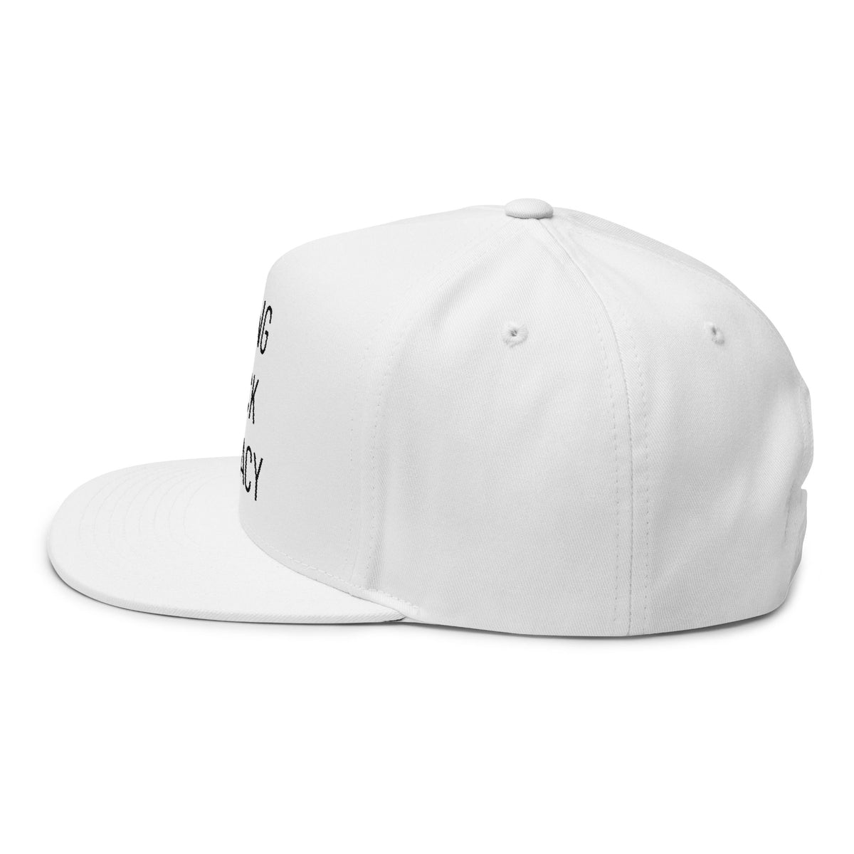 Bring Back Privacy | Flat Bill Cap