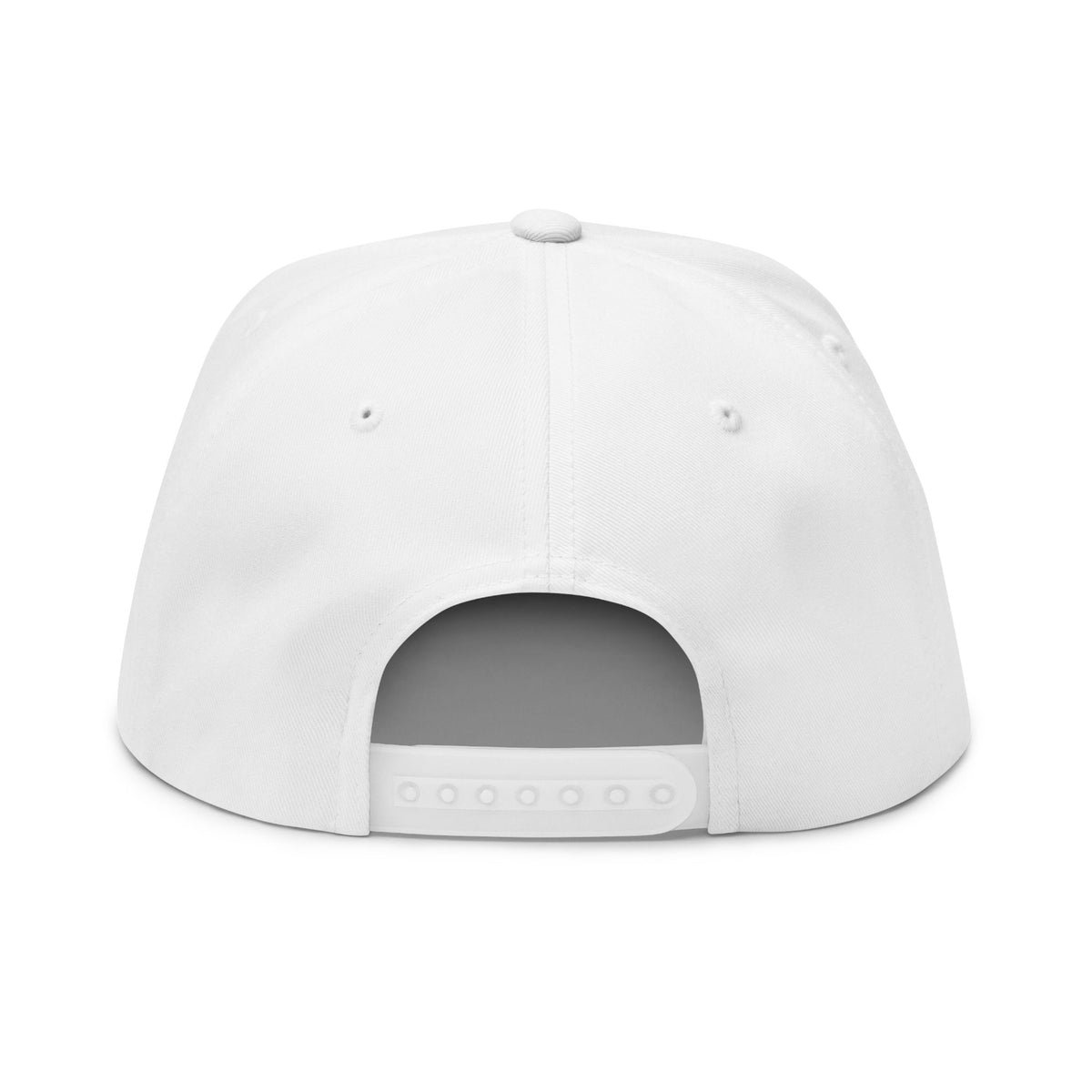Bring Back Privacy | Flat Bill Cap