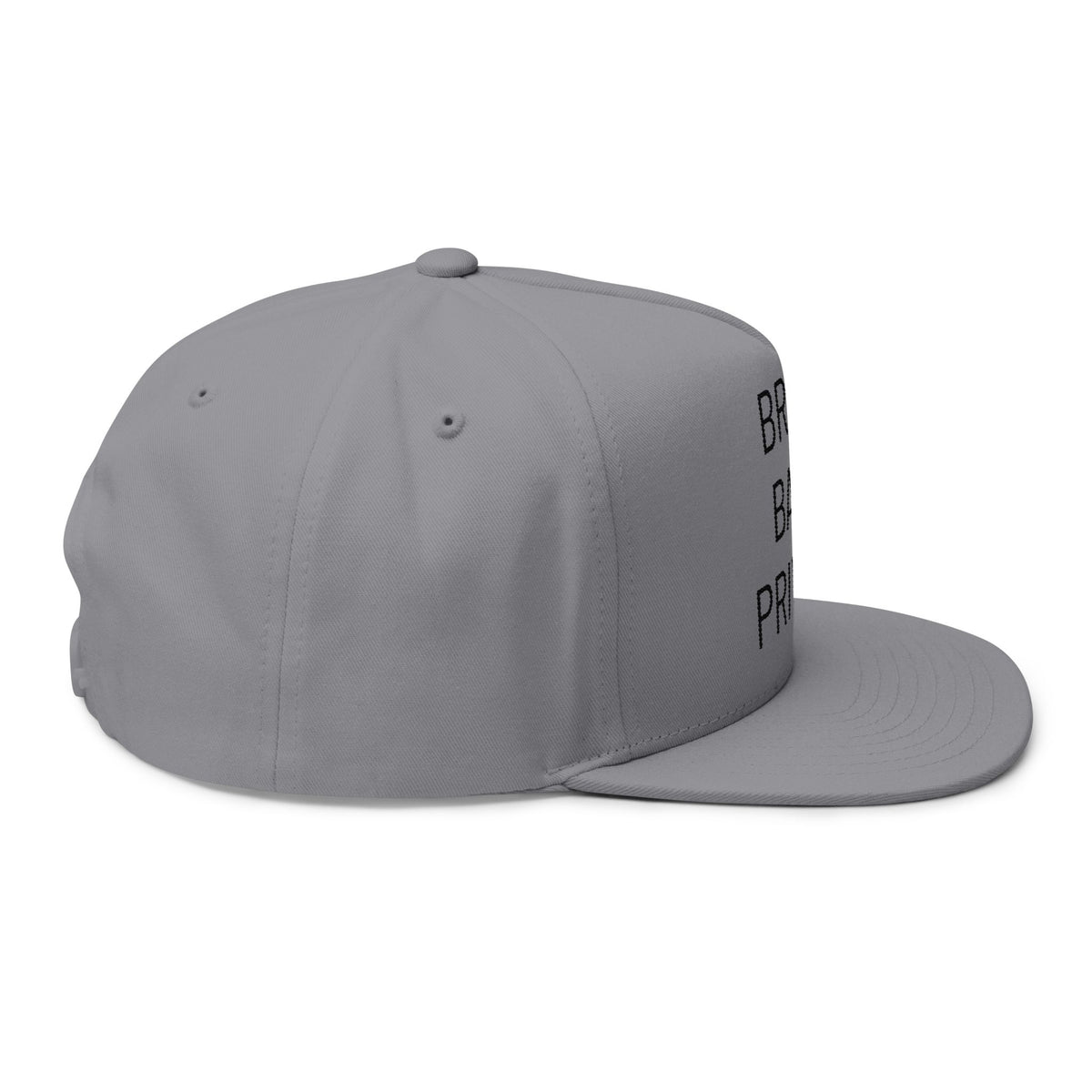 Bring Back Privacy | Flat Bill Cap