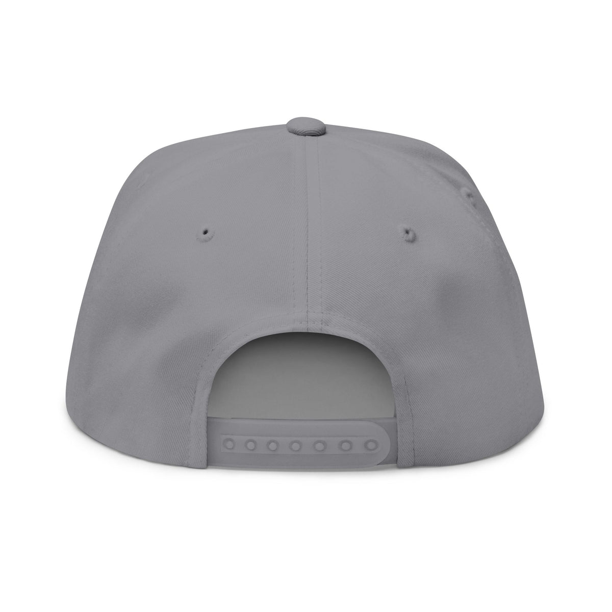 Bring Back Privacy | Flat Bill Cap