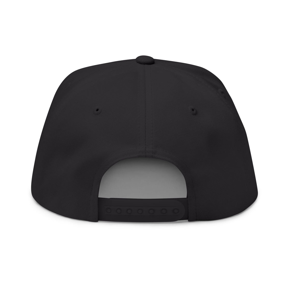 Bring Back Privacy | Flat Bill Cap